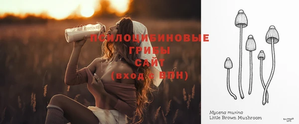 хмурый Балахна