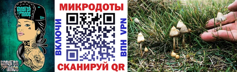 Галлюциногенные грибы MAGIC MUSHROOMS  купить наркоту  Козельск 